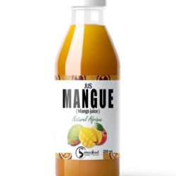 Jus de mangue 250ml